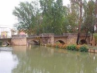La crecida del Duero obliga a confinar y desalojar viviendas en San Esteban de Gormaz (Soria)