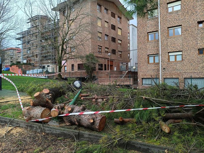 Árbol caido en Getxo (Bizkaia) por el fuerte viento este sábado