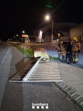 El 112 rep 378 trucades pel vent a Catalunya i els Bombers atenen 215 avisos