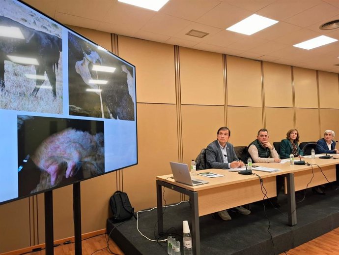 Reunión de la sectorial nacional de ganadería extensiva de vacuno de ASAJA Nacional celebrada en el marco de la Feria Internacional de Maquinaria Agrícola (FIMA 2026) en Feria de Zaragoza