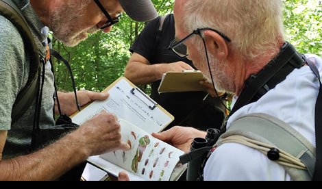 Cantabria Cultura y Deportes