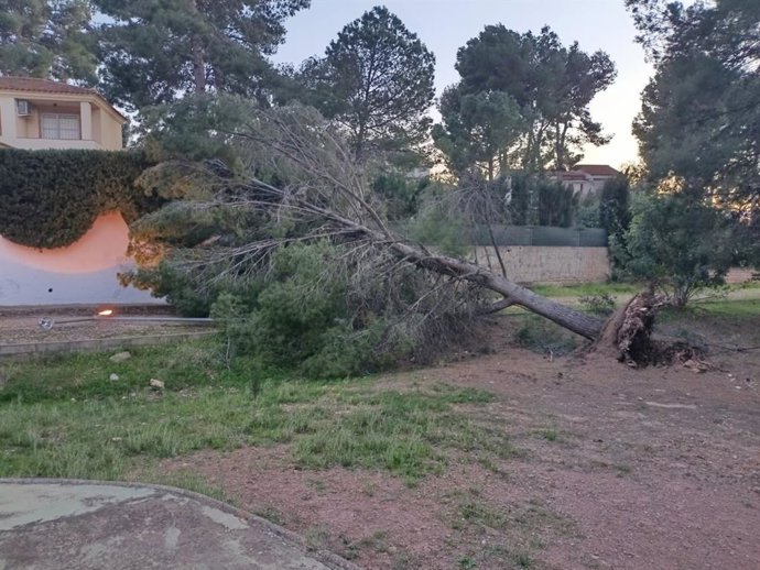Daños por el temporal de viento