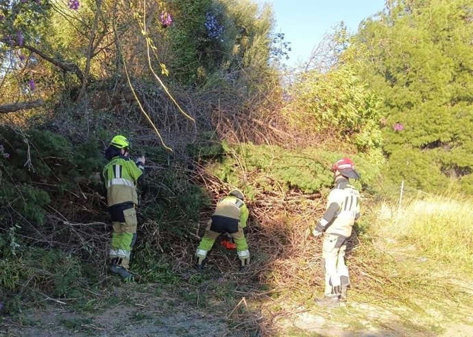 Imagen de una intervención relacionada con el temporal de viento.