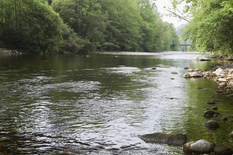 Archivo - Uno tramos de río en Cantabria.-ARCHIVO