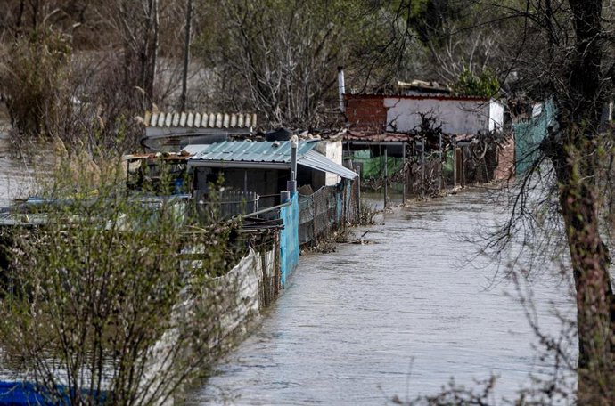Archivo - Zona de cultivos afectada por el desbordamiento del Río Jarama, a 12 de marzo de 2025, en San Fernando de Henares (Madrid). El Ayuntamiento de Madrid mantiene activado su plan de inundaciones a nivel 0 de alerta, no por la previsión de lluvias, 