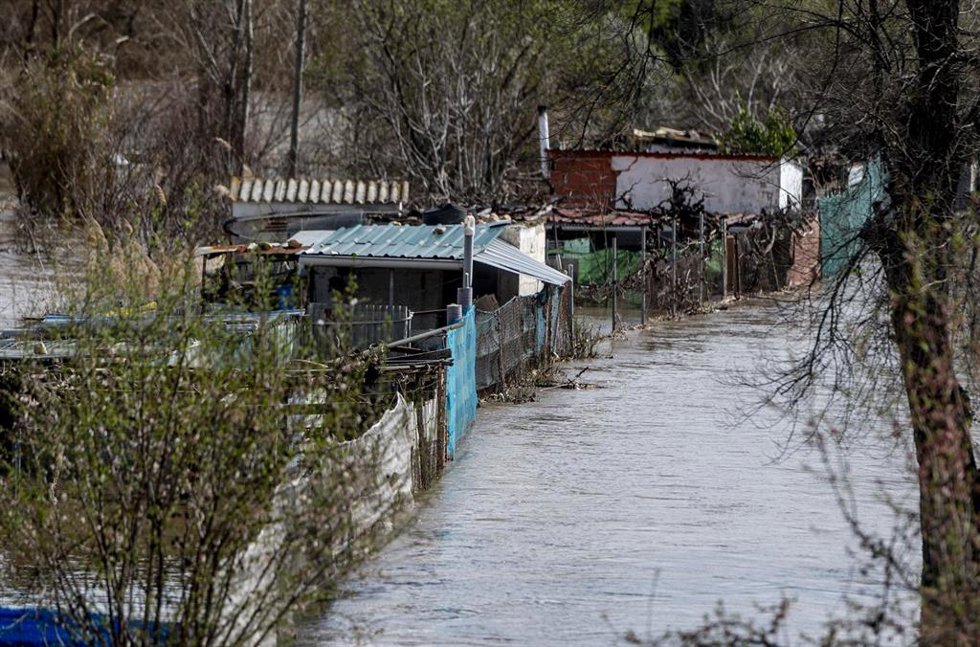 Archivo - Zona de cultivos afectada por el desbordamiento del Río Jarama, a 12 de marzo de 2025, en San Fernando de Henares (Madrid). El Ayuntamiento de Madrid mantiene activado su plan de inundaciones a nivel 0 de alerta, no por la previsión de lluvias