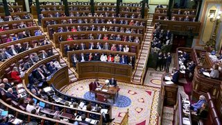 Uno de cada cinco diputados, incluyendo Sánchez y Feijóo, declara recibir ingres