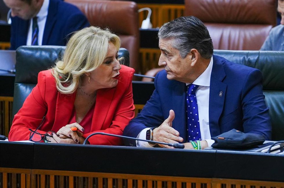 Archivo - La consejera de Economía y portavoz del Gobierno, Carolina España, y el consejero de Sanidad, Antonio Sanz, en una imagen de archivo en el Pleno del Parlamento.