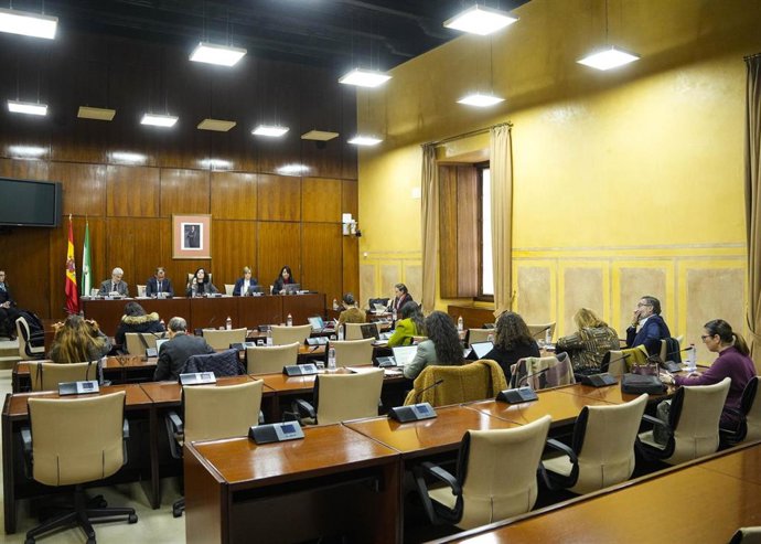 Sesión de la comisión de Control de la Agencia Pública Empresarial de la Radio y Televisión de Andalucía y de sus Sociedades Filiales en el Parlamento andaluz. (Foto de archivo).