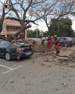 Bomberos realizando servicios