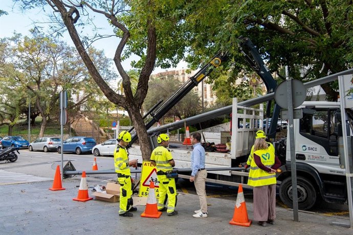 Instalación de luminarias más eficientes en la calle José Luis Morales Marín de Marbella (Málaga).