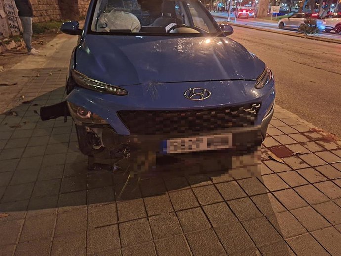 La palmera tumbada por el viento este sábado en Palma provoca daños en un coche: "Ha estado a 10 centímetros de matarme".