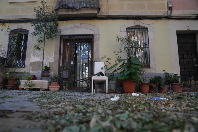 Fulles i escombraries mogudes pel vent