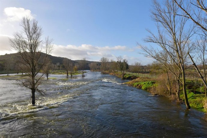 El río Alberche a su paso por Aldea del Fresno, a 12 de febrero de 2026, en Aldea del Fresno, Madrid (España). La Confederación Hidrográfica del Tajo (CHT) ha activado este jueves los avisos de nivel rojo por riesgo de desbordamiento en cinco tramos del r