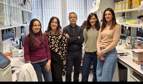 notibrasil sociedade