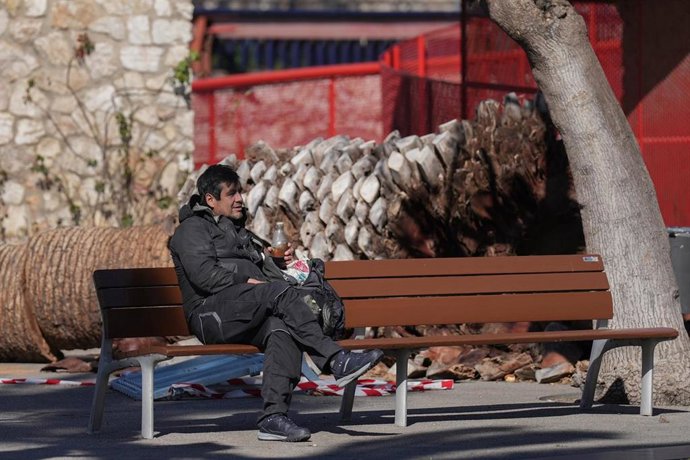 Trozos de palmeras en el suelo durante el temporal por viento, a 12 de febrero de 2026, en Barcelona, Catalunya (España).