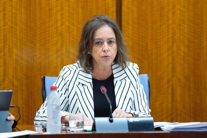 Archivo - La consejera de Sostenibilidad y Medio Ambiente de la Junta de Andalucía, Catalina García.