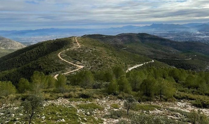 Imagen de archivo de un cortafuegos en la Serra Grossa