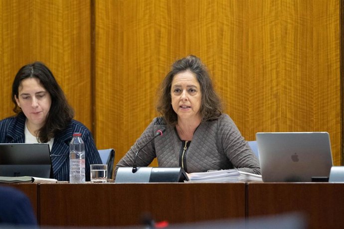 Catalina García (d), en la comisión de Sostenibilidad y Medio Ambiente.