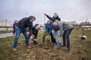 Plantación del bosque Cross .