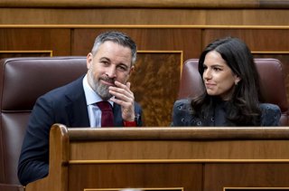 El presidente de Vox, Santiago Abascal, y la portavoz de Vox en el Congreso, Pepa Millán, durante una sesión plenaria, en el Congreso de los Diputados, a 12 de febrero de 2026, en Madrid (España).