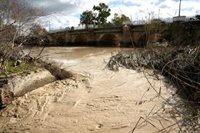 Andalucía entra en fase de recuperación tras finalizar más de 13.700 actuaciones de emergencia por el temporal
