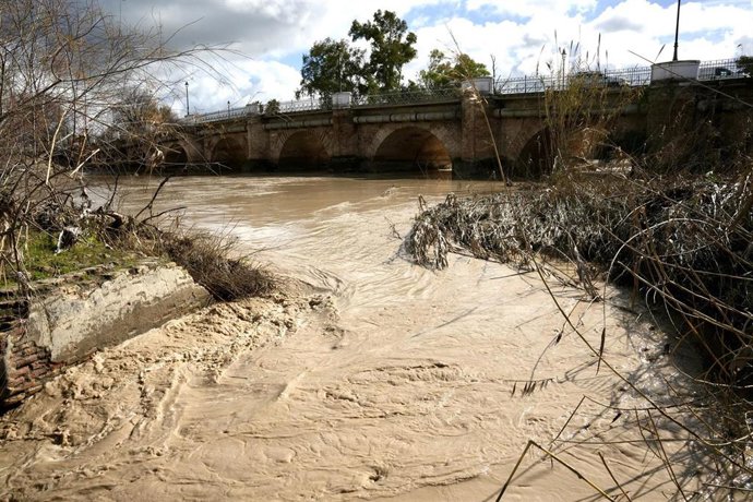 Vista general de la crecida del río Genil a su paso por la localidad de Écija. Imagen de archivo. 