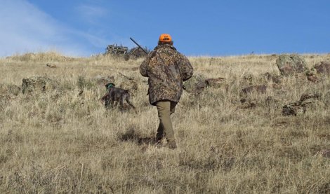 notibrasil política