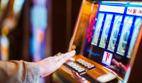 notibrasil sociedade