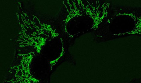 notibrasil sociedade