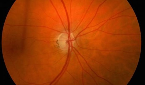 notibrasil sociedade