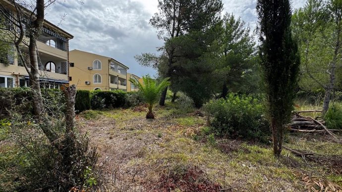 Terreno dode se prevé la construcción de las nuevas viviendas de Ibavi.