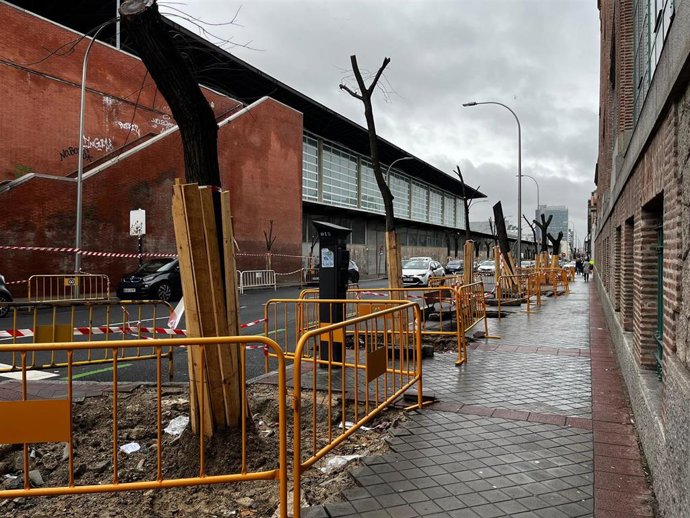 Actuaciones en el arbolado en el entorno de Atocha