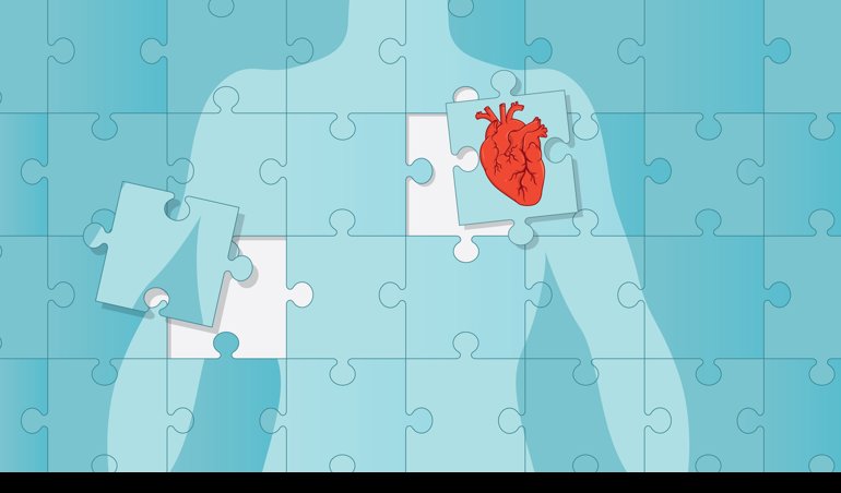 notibrasil sociedade