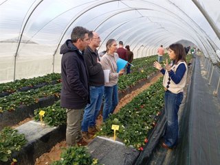 Jornada de puertas abiertas en la finca experimental El Cebollar del centro Ifapa de Huelva.