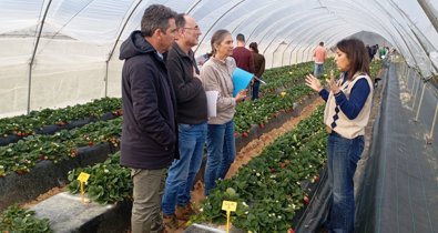 Es Andalucía - Huelva