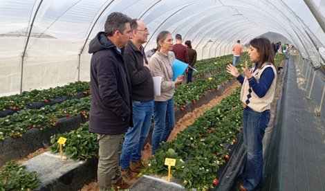 Es Andalucía - Huelva