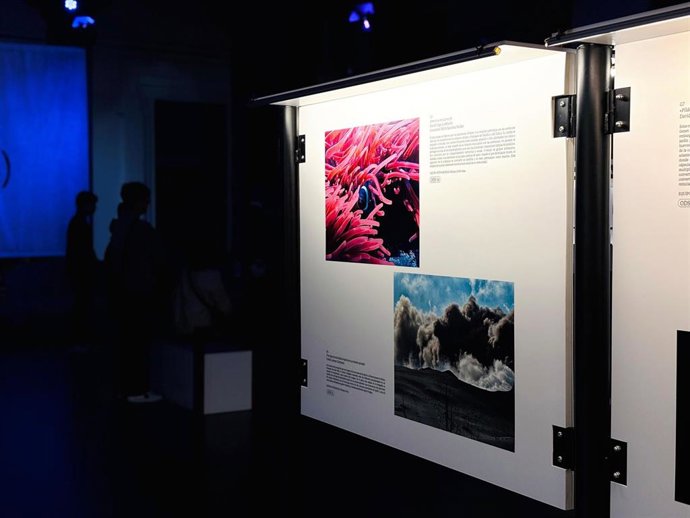 Exposición 'Fotciencia' en la Casa de la Ciencia de Sevilla