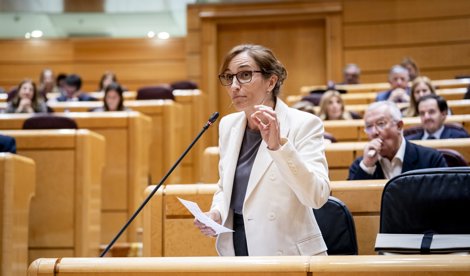 notibrasil sociedade