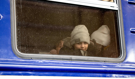 notibrasil sociedade