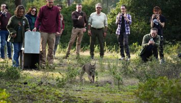 Es Andalucía - Huelva