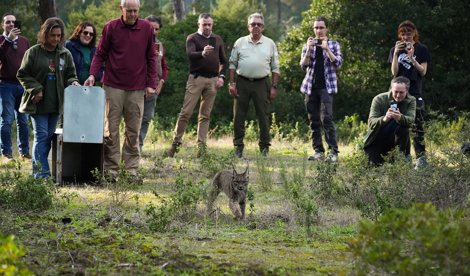 Es Andalucía - Huelva