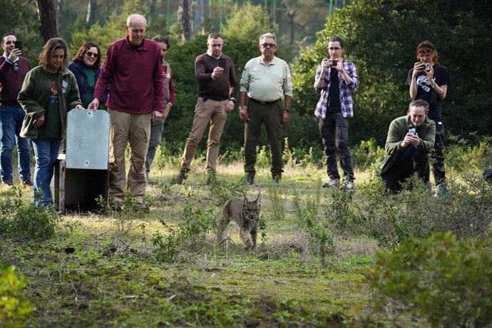 Vídeo de la noticia