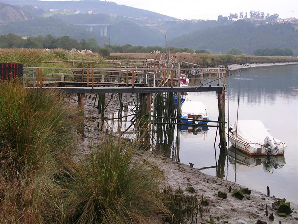 Archivo - Pesca de la angula. 