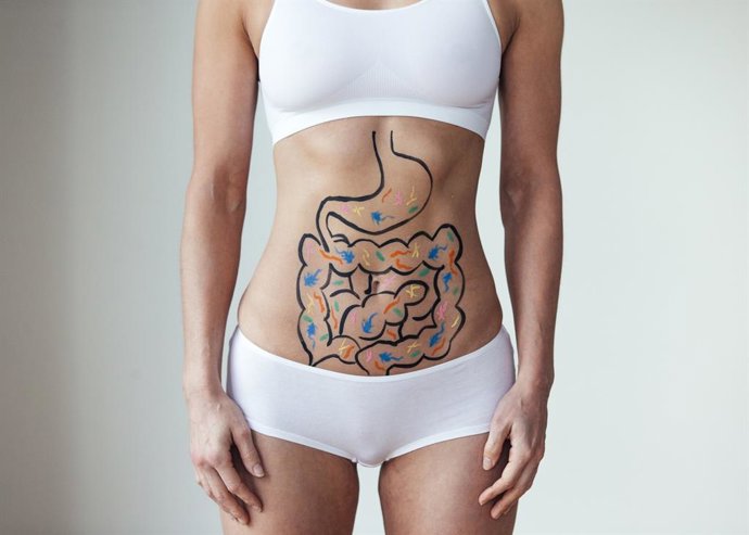 Archivo - Mujer con una ilustración en su abdomen de intestinos con bacterias coloridas. Microbiota, microbioma