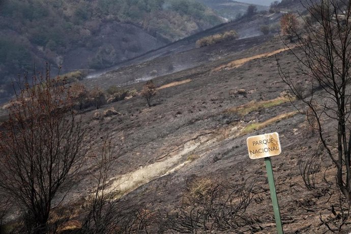 Archivo - Vista del incendio en el Puerto de San Glorio (León) registrado el pasado verano.