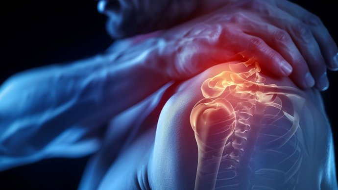 La PEA modula la respuesta inflamatoria