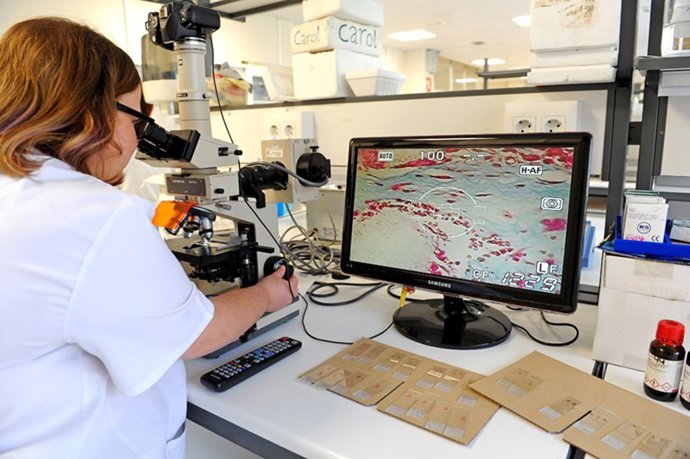 Archivo - Investigadores del IDIVAL