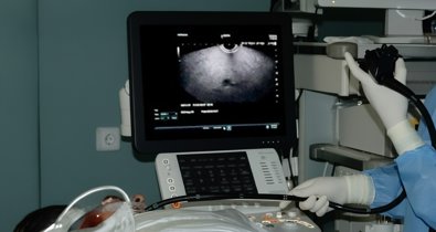 Es Andalucía - Sevilla