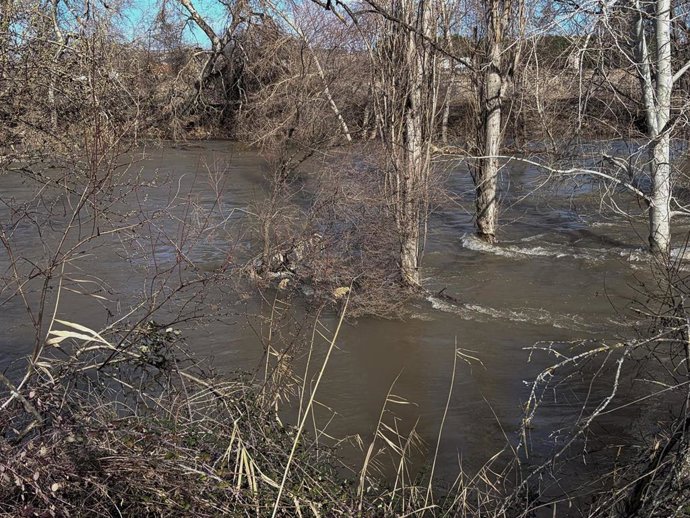 El río Jarama a su paso por San Fernando de Henares, a 12 de febrero de 2026, en San Fernando de Henares, Madrid (España). La Confederación Hidrográfica del Tajo (CHT) ha activado este jueves los avisos de nivel rojo por riesgo de desbordamiento en cinco 